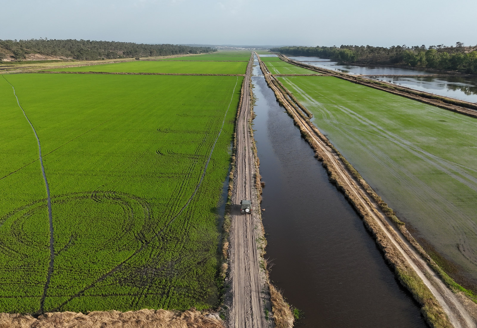 Aerial view of the Sado estuary